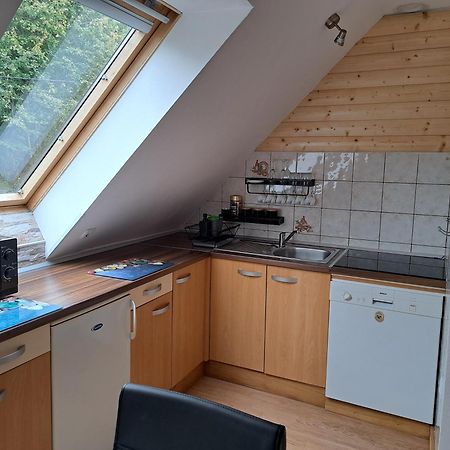 Apartment Erika Fužine Dış mekan fotoğraf