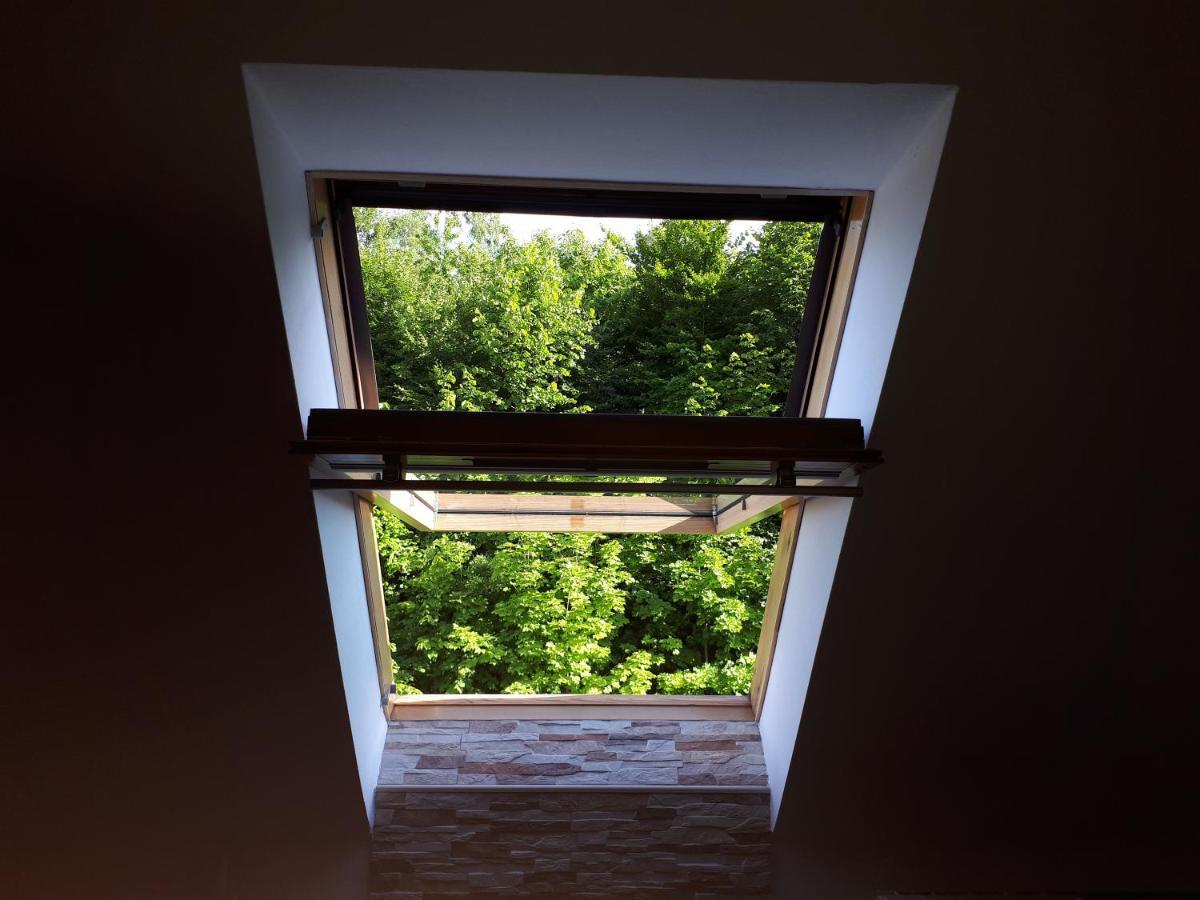 Apartment Erika Fužine Dış mekan fotoğraf