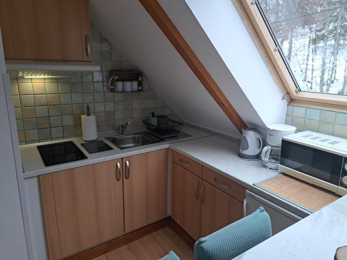 Apartment Erika Fužine Dış mekan fotoğraf