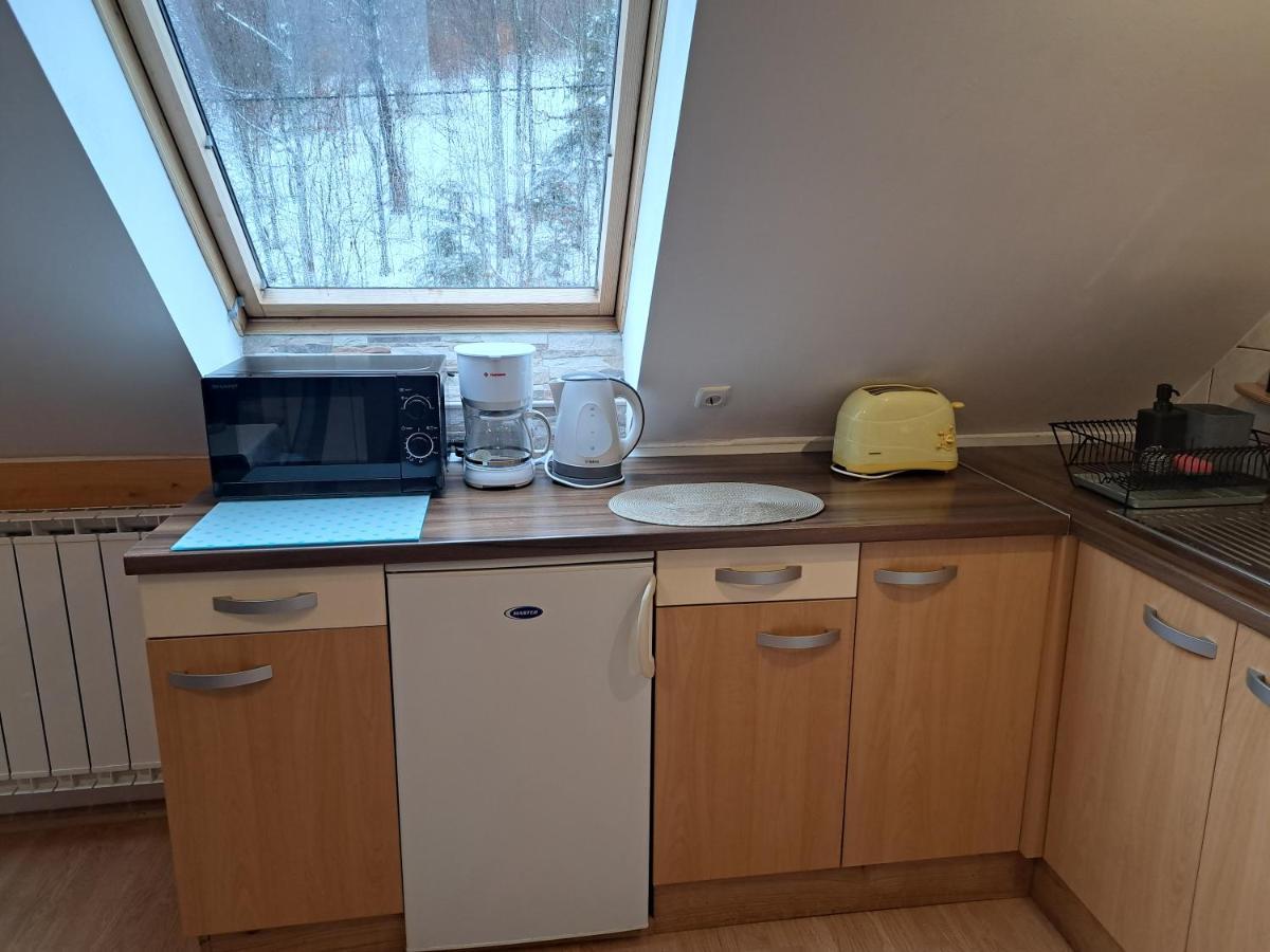 Apartment Erika Fužine Dış mekan fotoğraf
