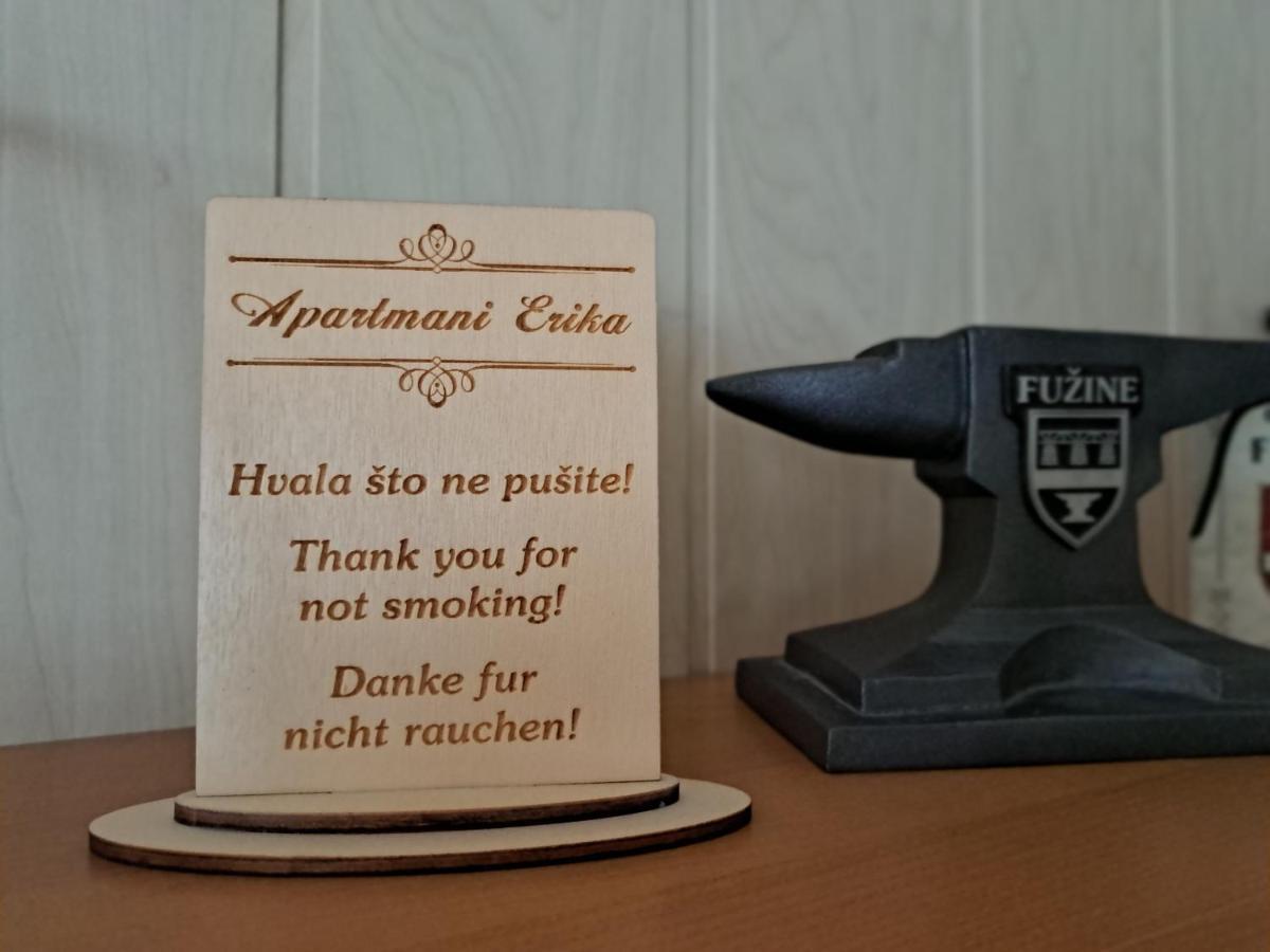 Apartment Erika Fužine Dış mekan fotoğraf