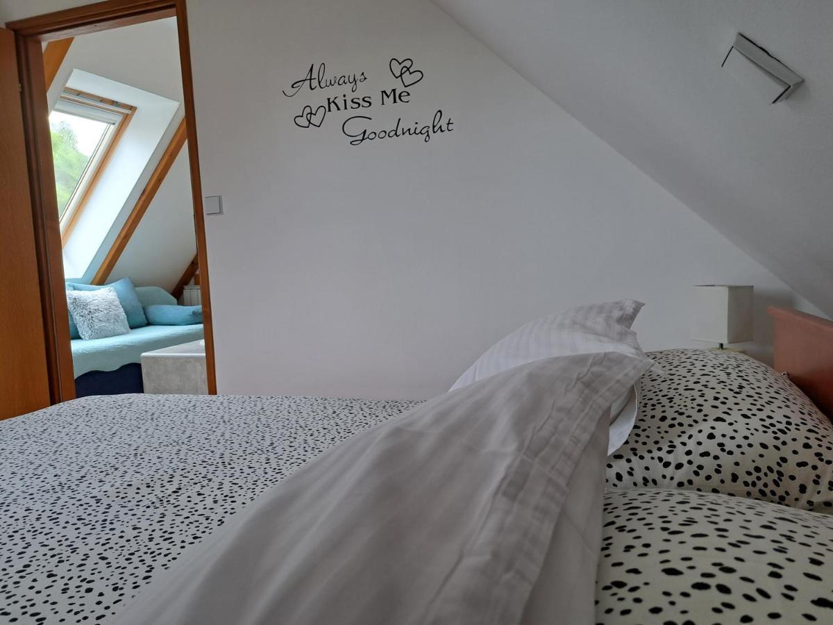 Apartment Erika Fužine Dış mekan fotoğraf