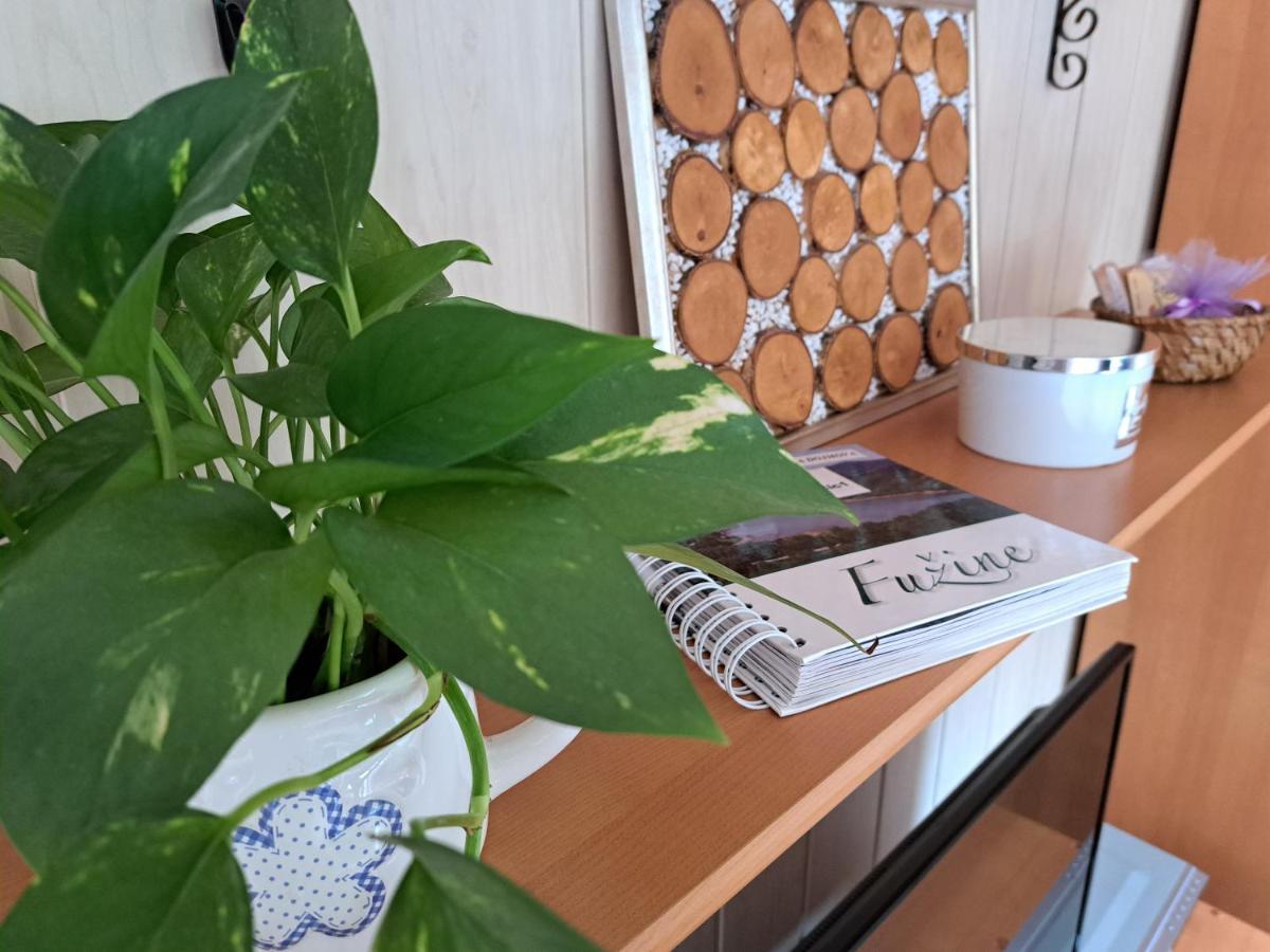 Apartment Erika Fužine Dış mekan fotoğraf