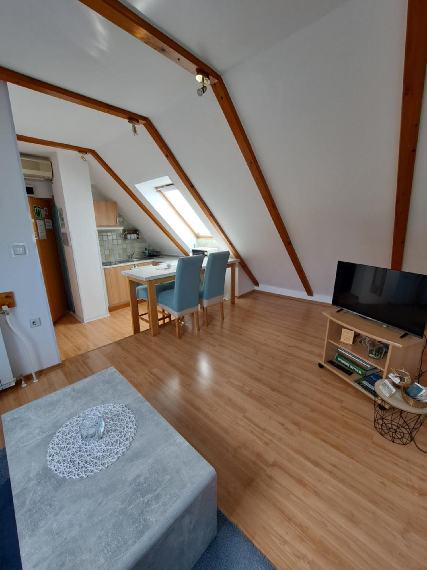 Apartment Erika Fužine Dış mekan fotoğraf