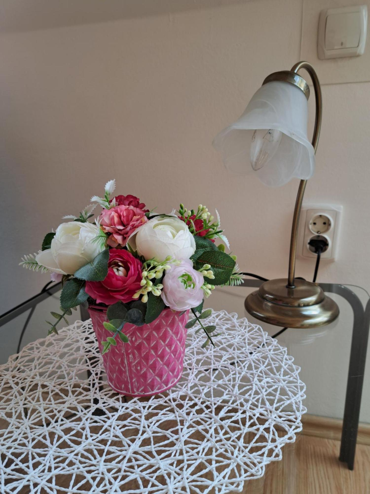 Apartment Erika Fužine Dış mekan fotoğraf
