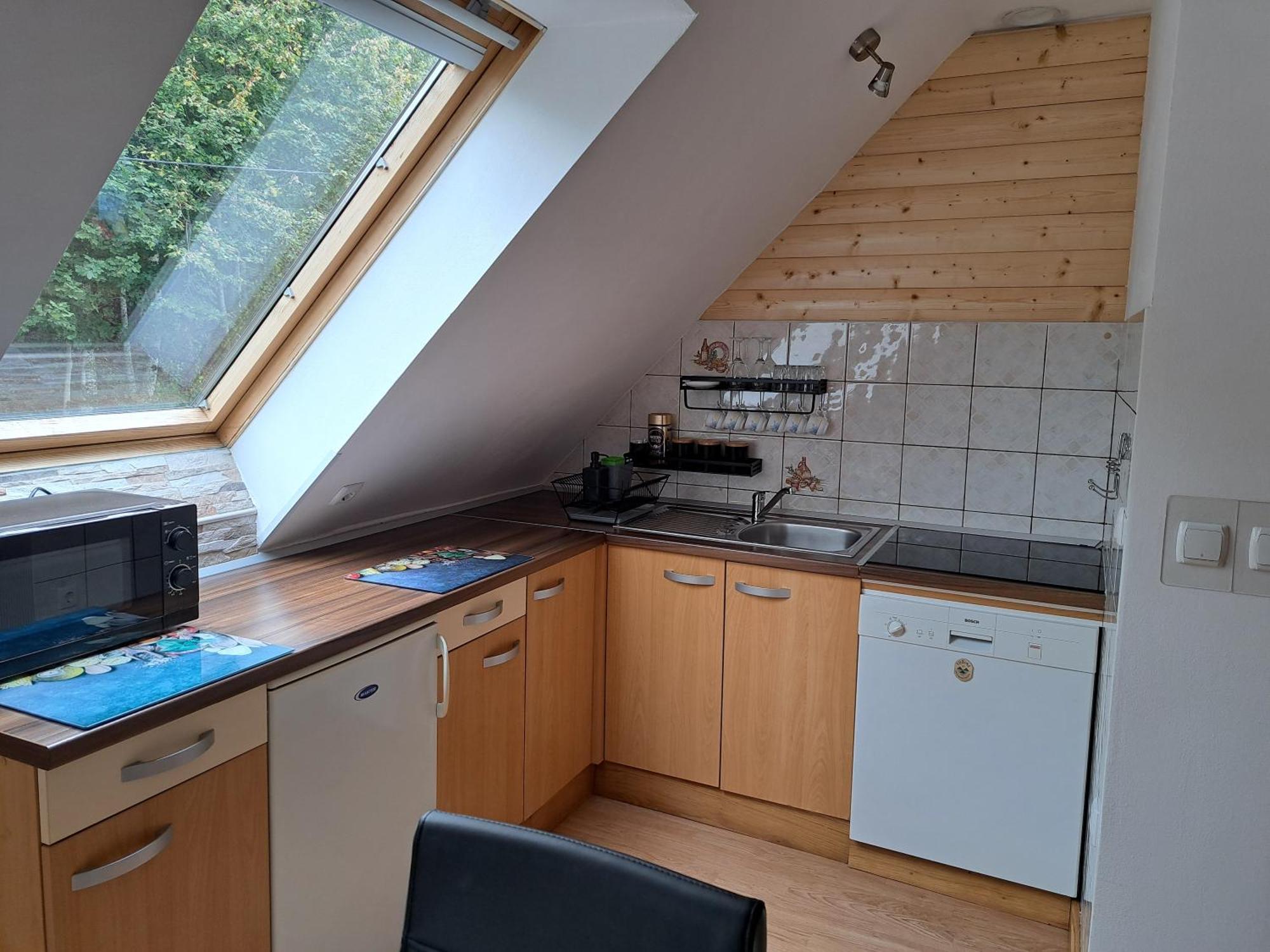 Apartment Erika Fužine Dış mekan fotoğraf